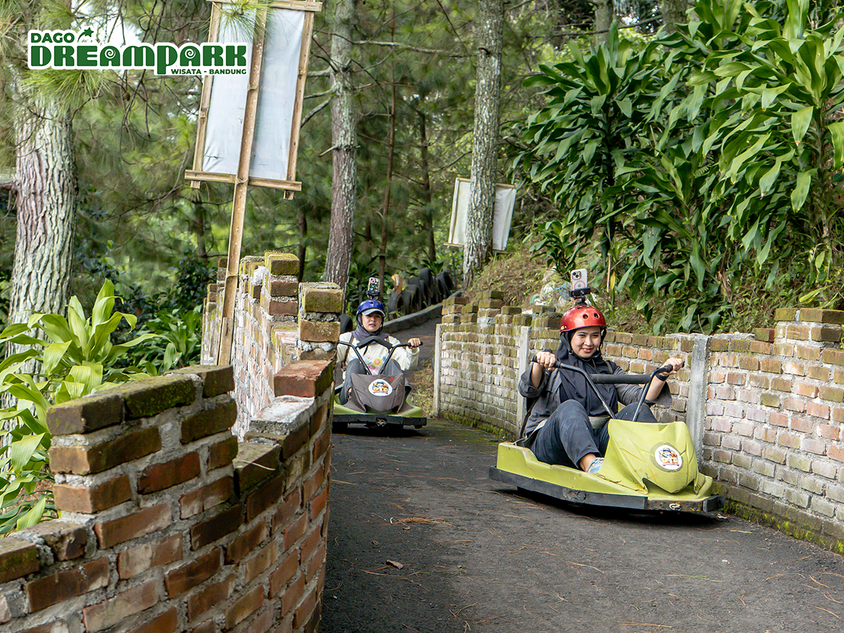 Dago Dream Park - 6