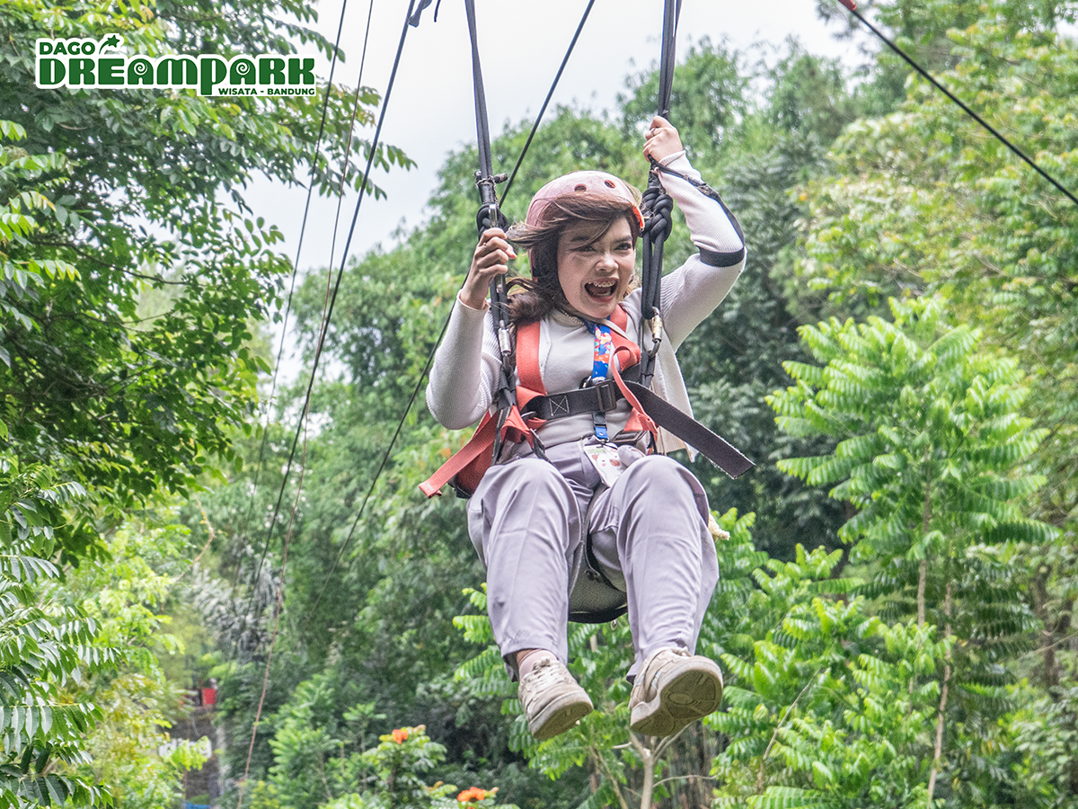 Dago Dream Park - 7
