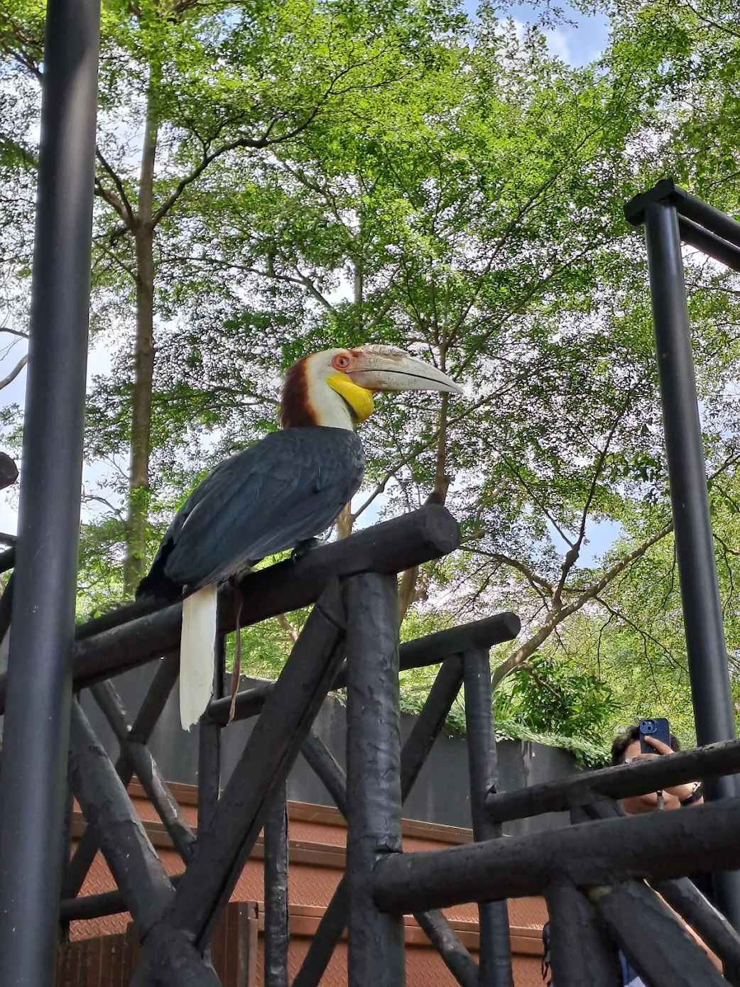 Faunaland Ancol - 10