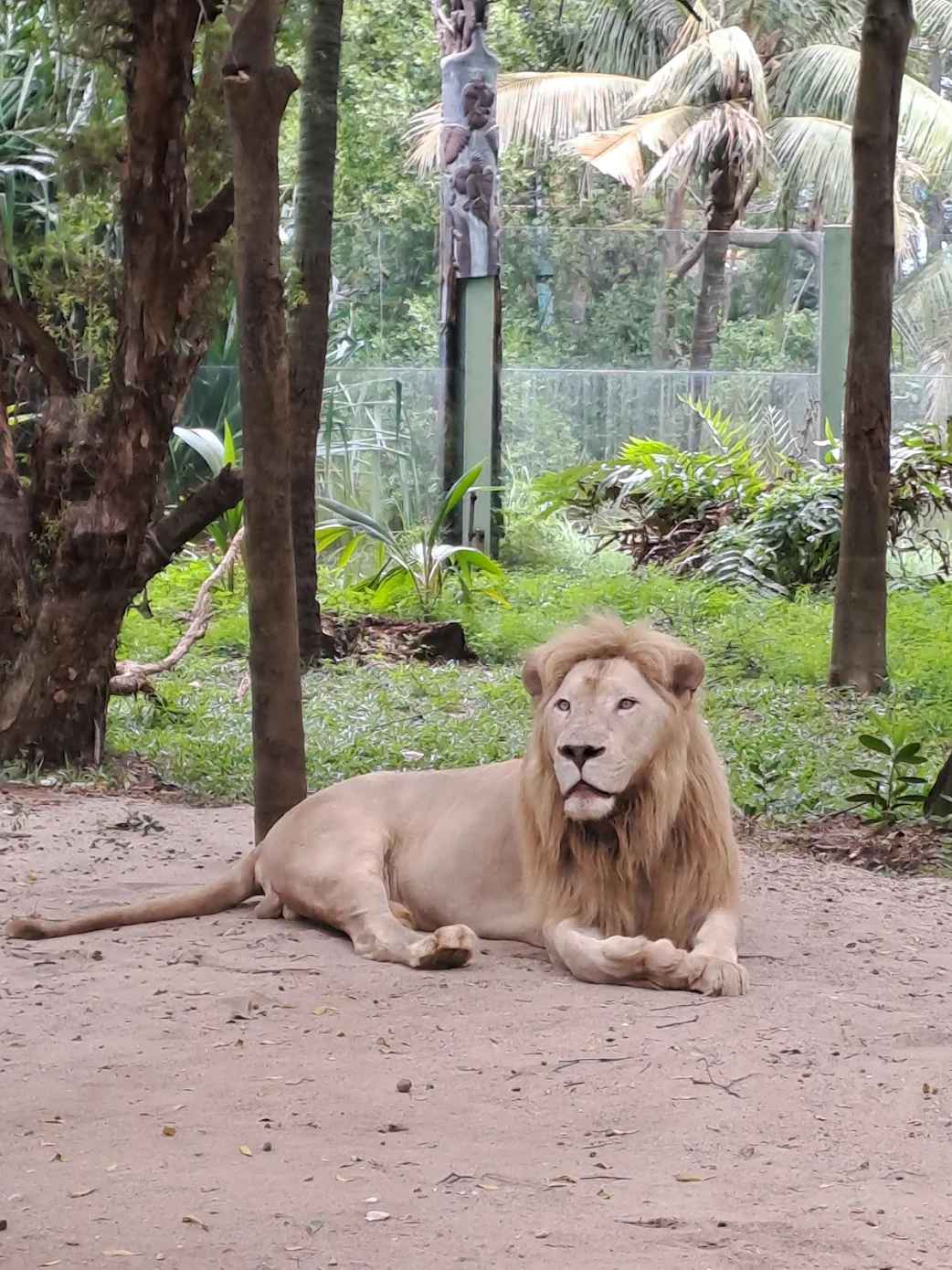 Faunaland Ancol - 12