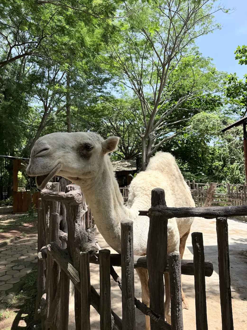 Faunaland Ancol - 3