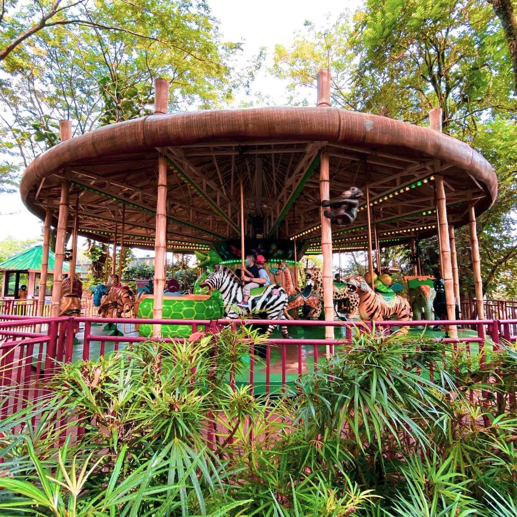 JungleLand Adventure Theme Park - 4