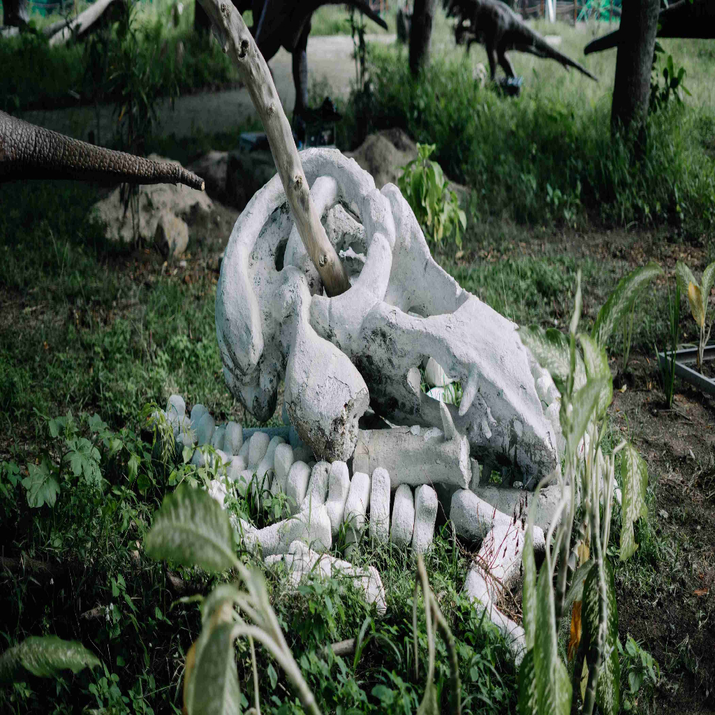 Junglesea Lampung - 5