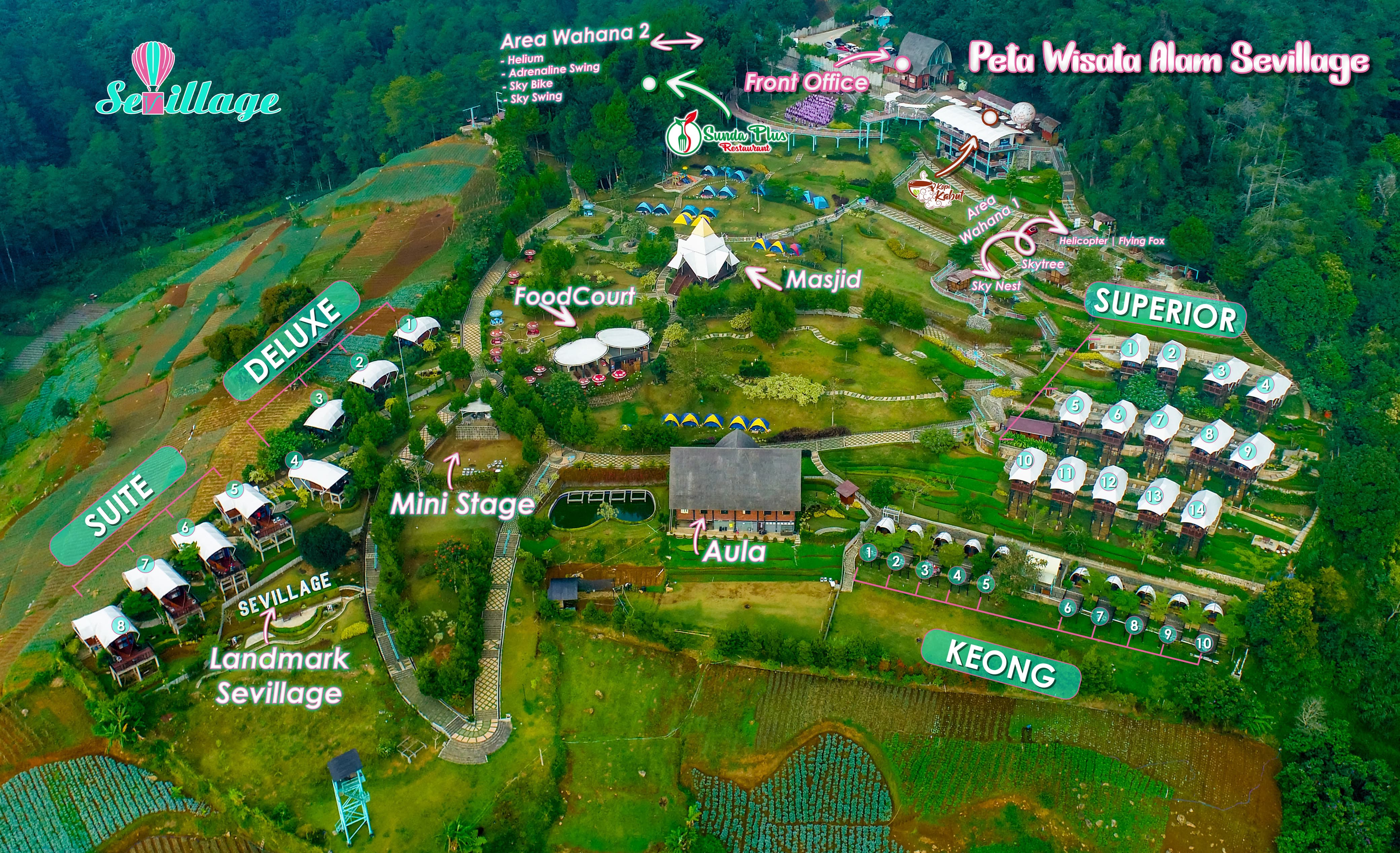 Peta area